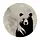 spaceBEAR